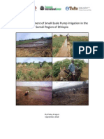 CHF Impact Assessment Somali Region