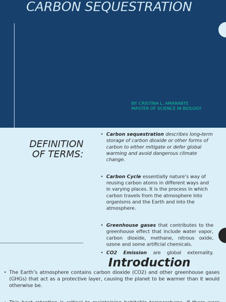Carbon Sequestration Methods Explained | PDF | Carbon Sequestration ...