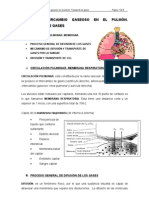 TEMA II. INTERCAMBIO GASEOSO EN EL PULMÓN. TRASNPORTE DE GASES