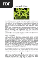 Download ipa 22doc by Made Yana SN93130442 doc pdf