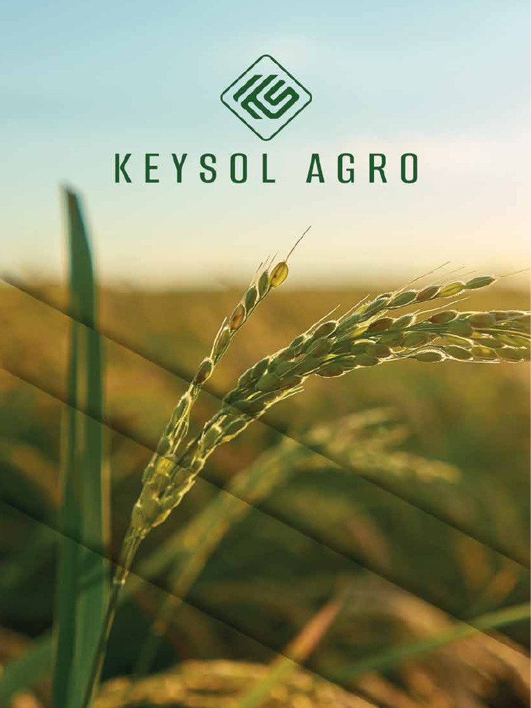 Keysolagro Catalog | PDF