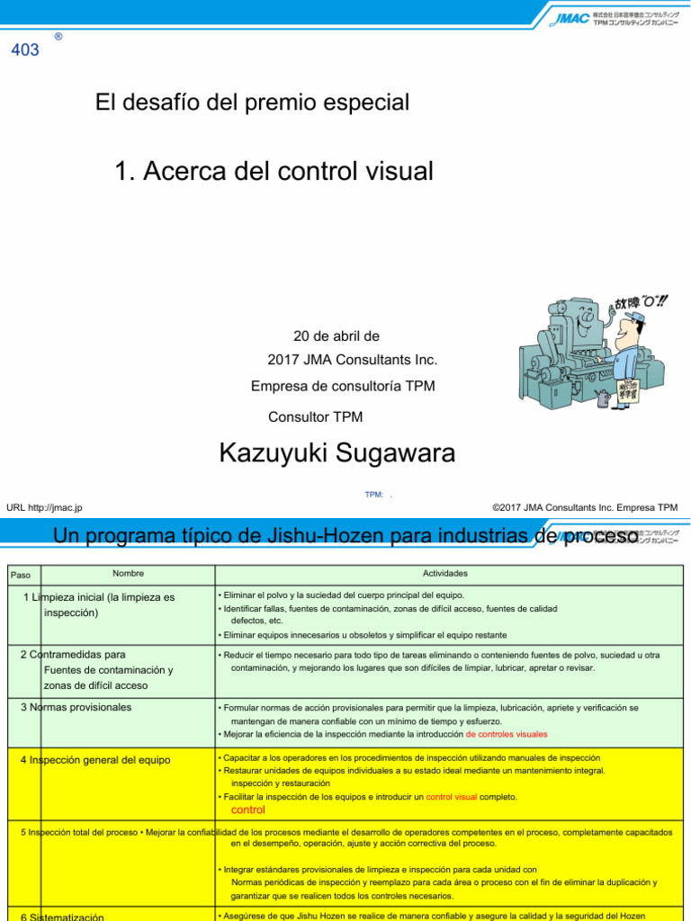 Visual Control | PDF
