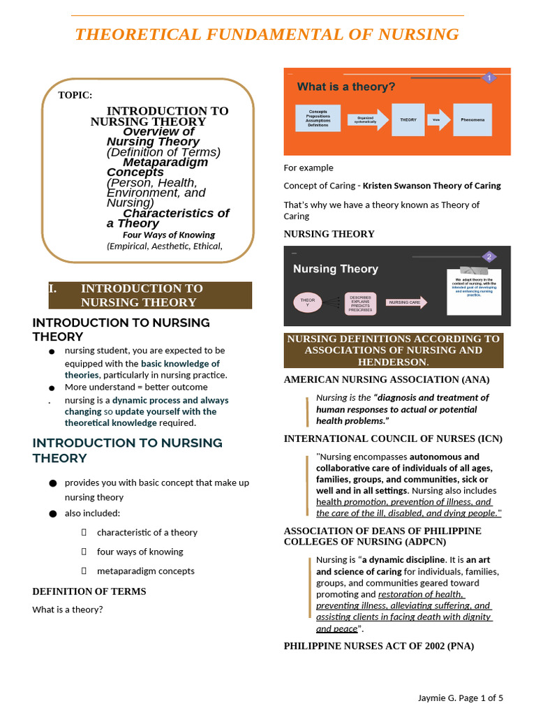 Introduction To Nursing Theory | PDF | Theory | Concept