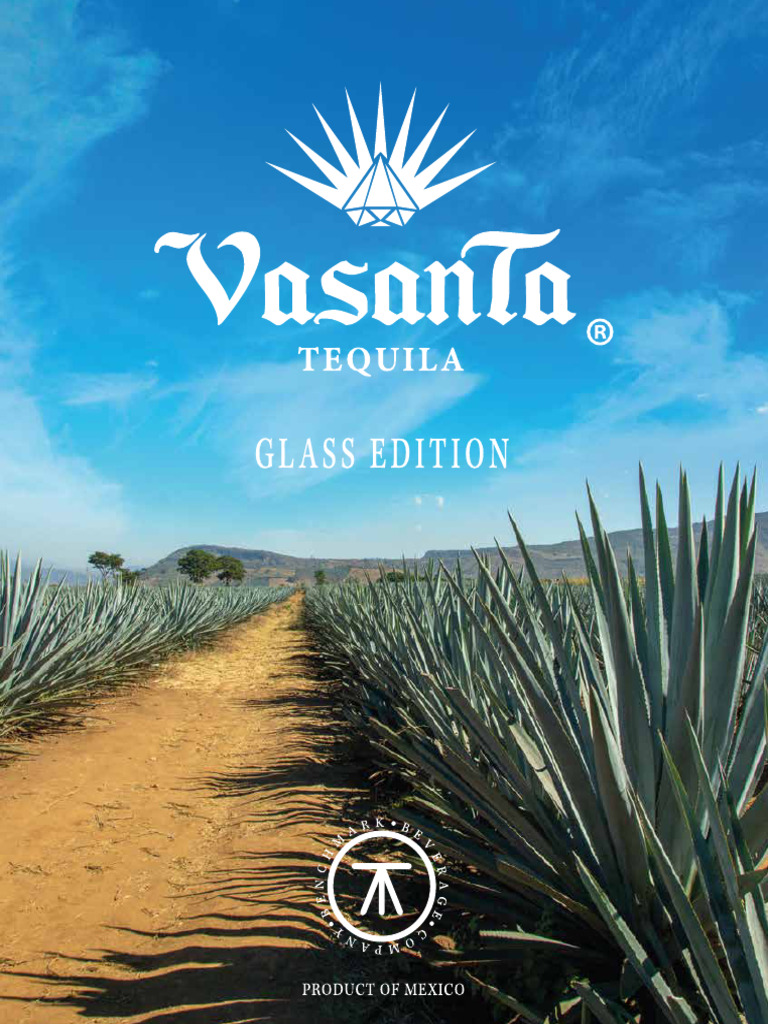 Libro Vasanta Inglés - para Revisión | PDF