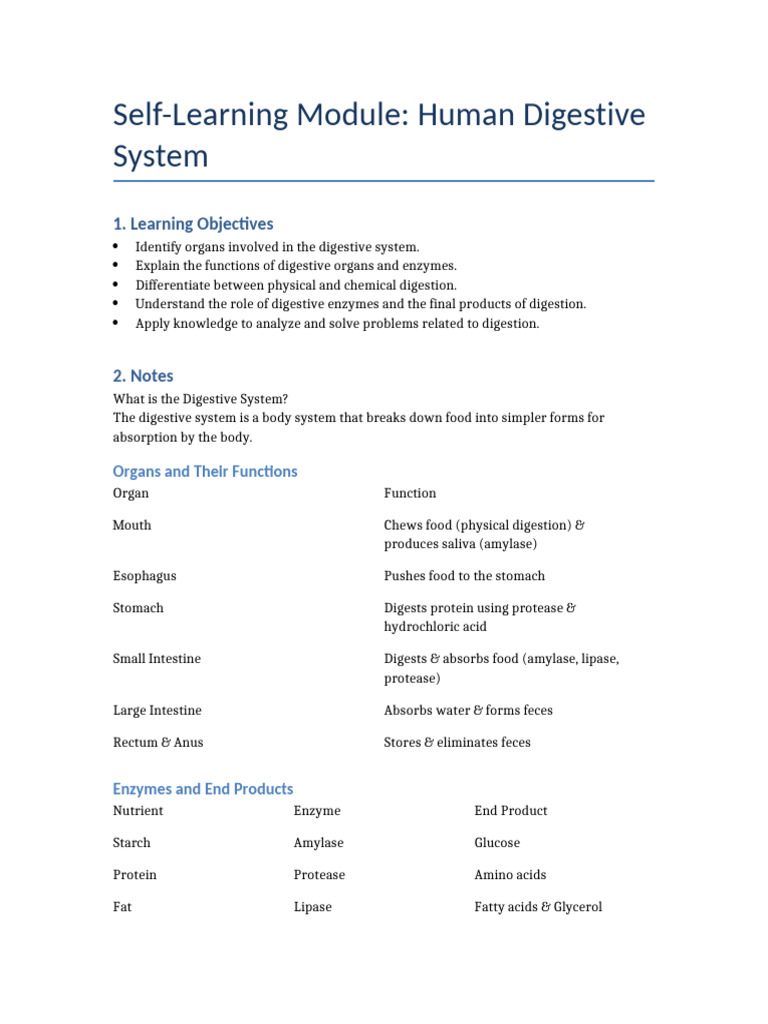 Digestive System Functions and Activities | PDF | Digestion | Human ...
