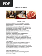 Download CULTIVO_CARPA2 by Cone Hernandez SN93133905 doc pdf
