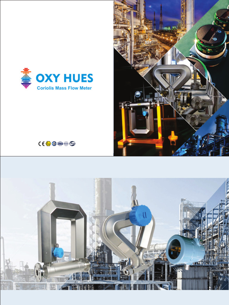 Advanced Coriolis Mass Flow Meters | PDF | Flow Measurement | United ...