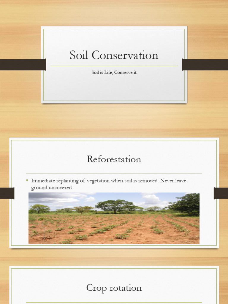 Effective Soil Conservation Techniques | PDF