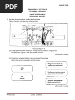 Science Form3 Half Year 2023-2024 | PDF