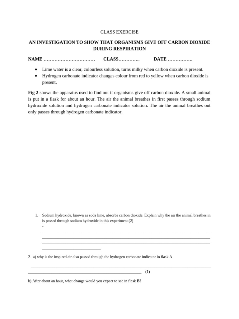 Carbon Dioxide Release in Respiration | PDF