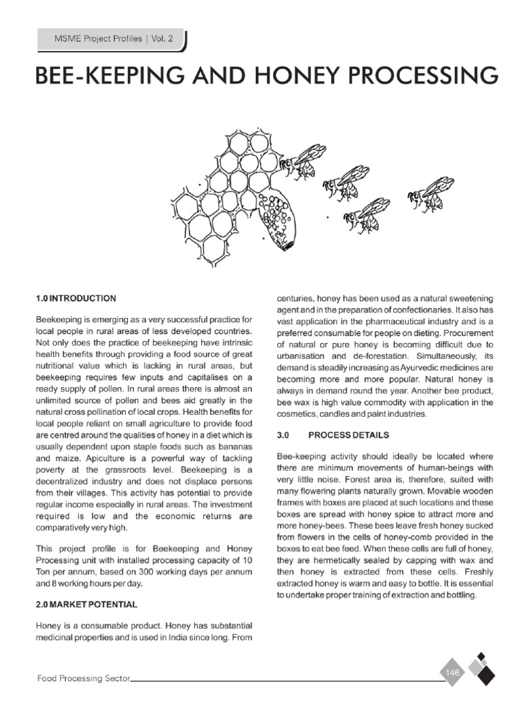 Bee-Keeping & Honey Processing | PDF | Beekeeping | Internal Rate Of Return