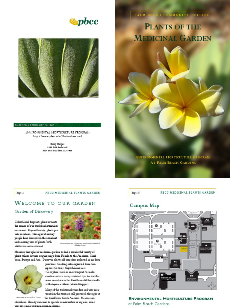 Med Plants Booklet Plants of The Medicinal Garden PDF Plant
