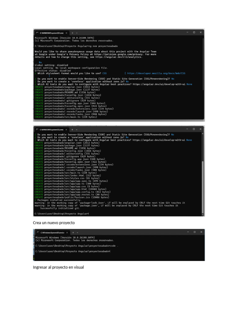 Crea Un Nuevo Proyecto Angular | PDF