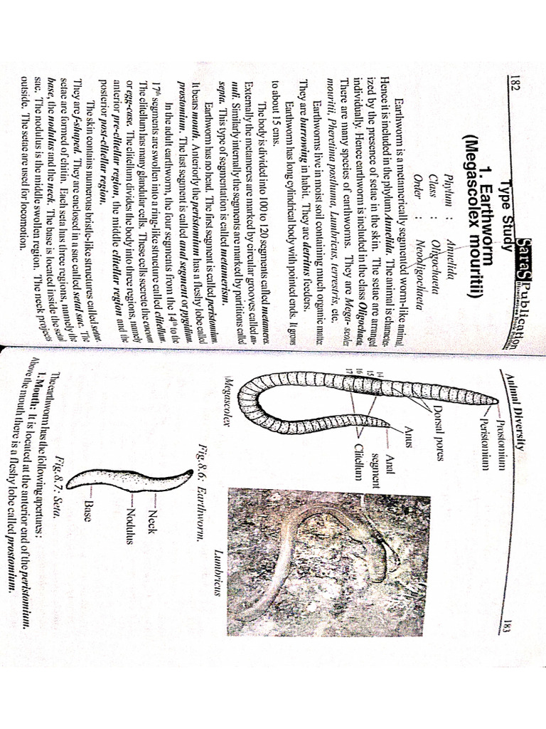 Earthworm | PDF