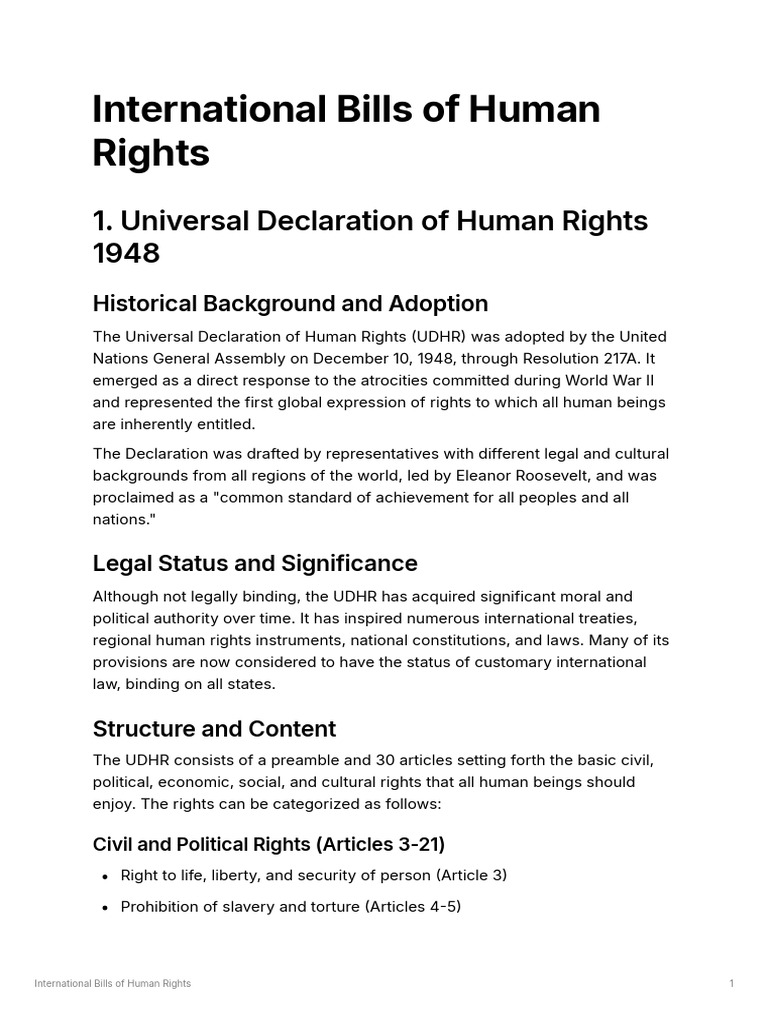 Overview of International Human Rights Bills | PDF | Human Rights ...