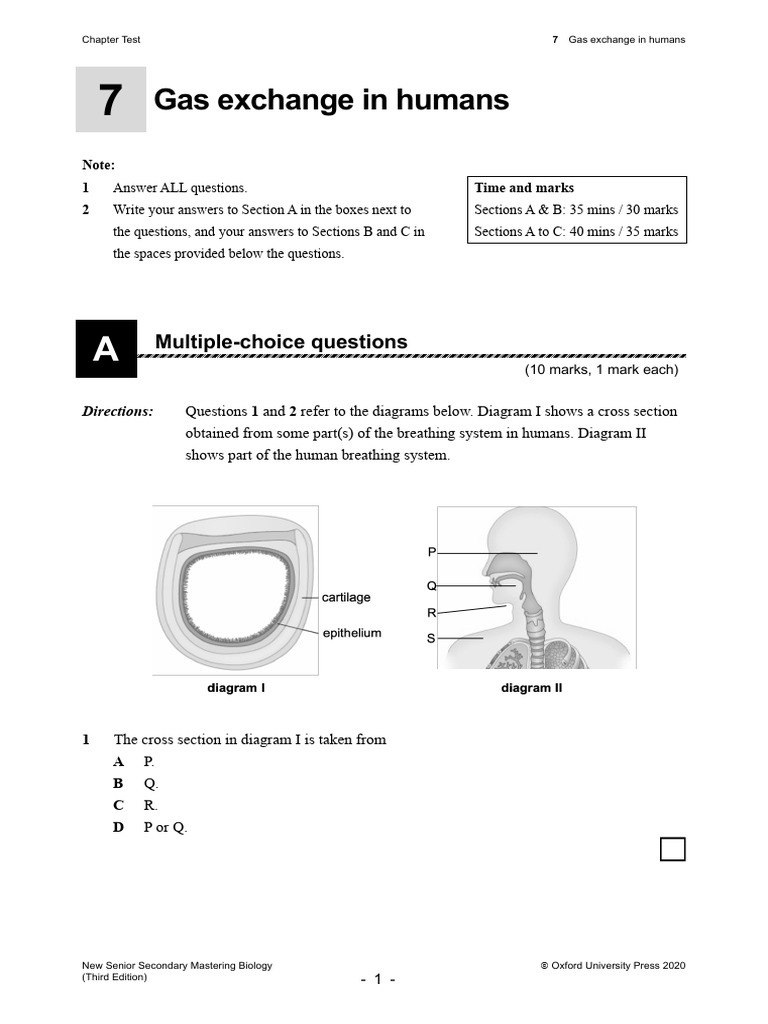 Gas Exchange in Humans Test Questions | PDF | Lung | Breathing