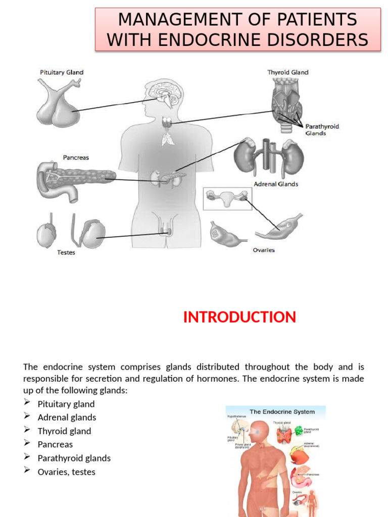 Endocrine Disorder Patient Management | PDF | Adrenal Gland ...