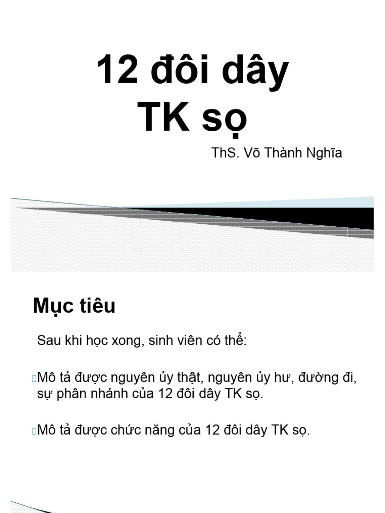 12 dây đôi TK sọ | PDF