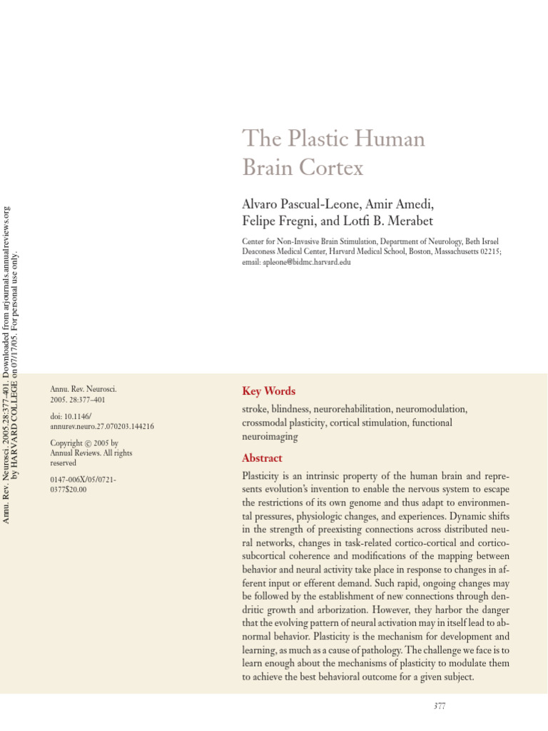 Understanding Brain Plasticity Mechanisms | PDF | Neuroplasticity | Brain