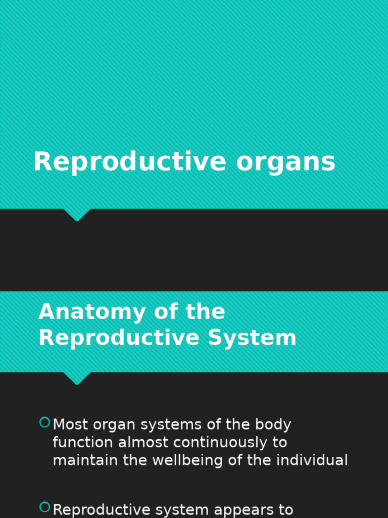 Anatomy and Functions of Reproductive Organs | PDF | Prostate | Uterus