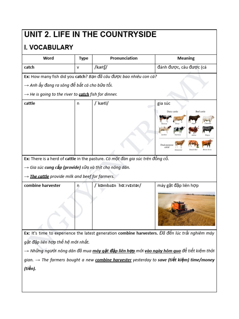 Anh 8 Unit 2. Life in The Countryside | PDF