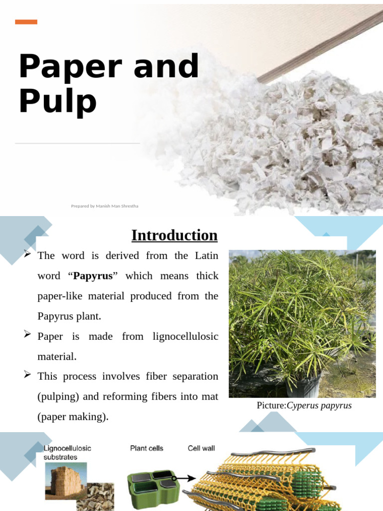 Paper vs. Pulp: Key Differences Explained | PDF | Pulp (Paper) | Paper