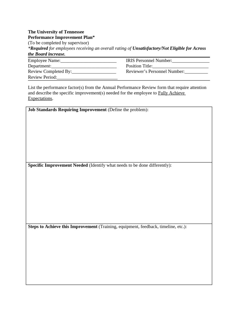 Optional Performance Improvement Plan 2013 | PDF