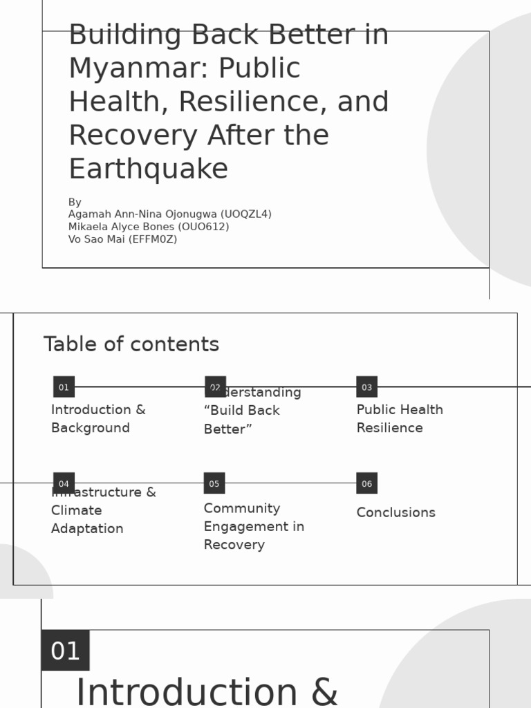 Myanmar Earthquake Recovery Strategies | PDF | Disaster Risk Reduction ...