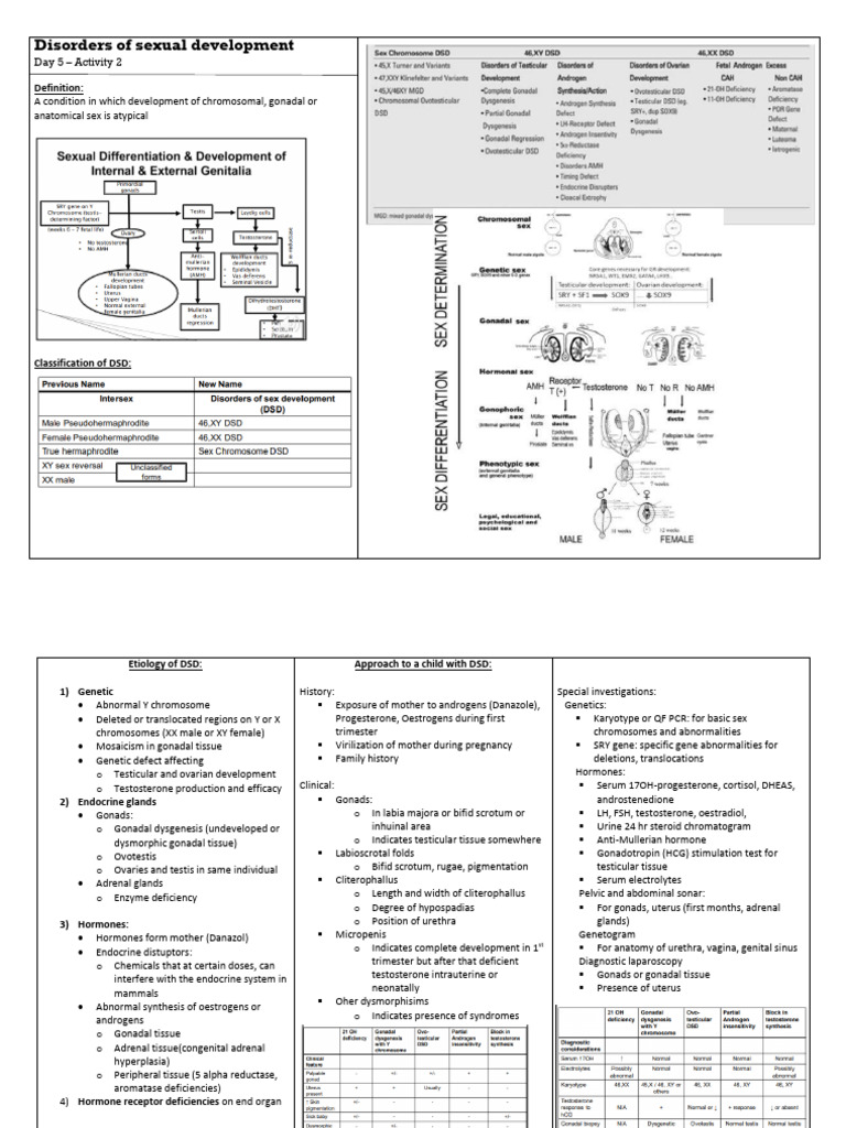 Understanding Disorders of Sexual Development | PDF | Endocrine System ...