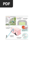 Download 11 May Goal Line Tech by The Independent SN93151116 doc pdf