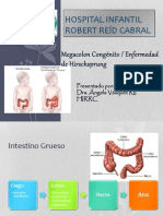 Megacolon Congenito