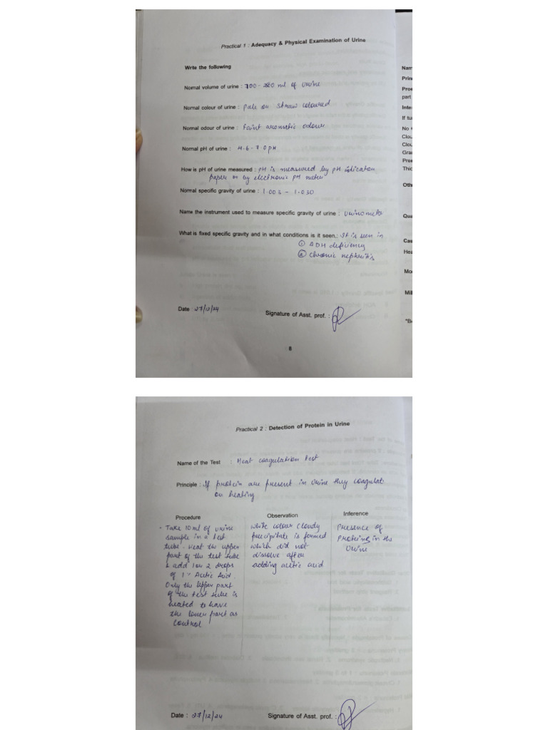 My Patho Record | PDF
