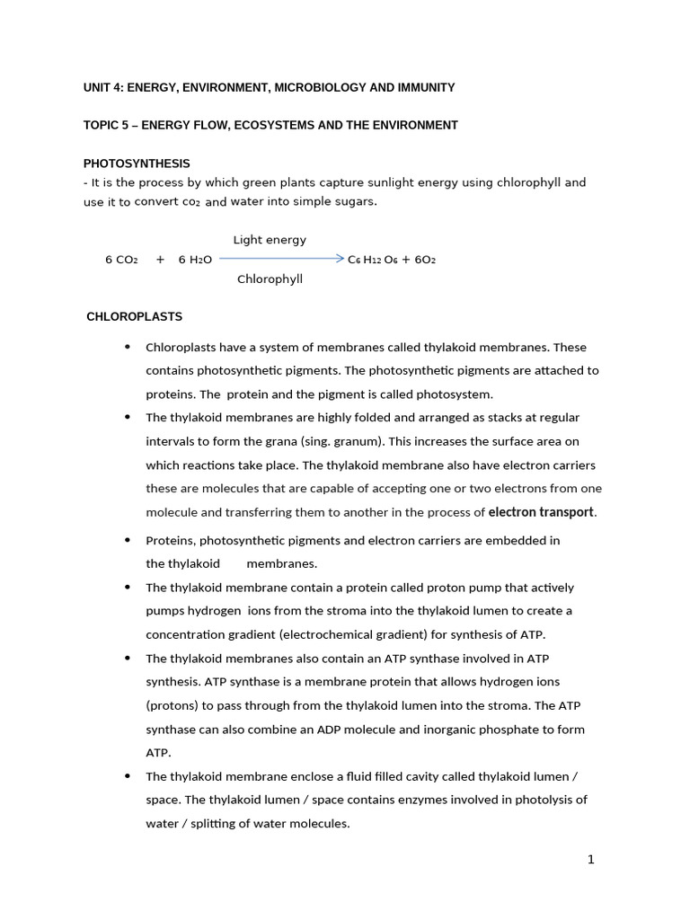 Unit 4 Notes | PDF | Photosynthesis | Chloroplast