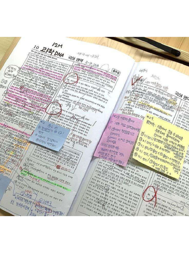 Study | PDF