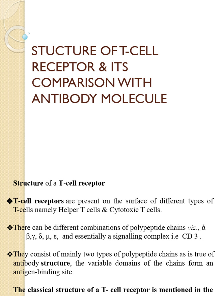Structure of T Cell Receptor - Its Comparison With Antibody Molecule | PDF