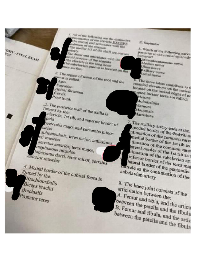 100 Finaltest | PDF