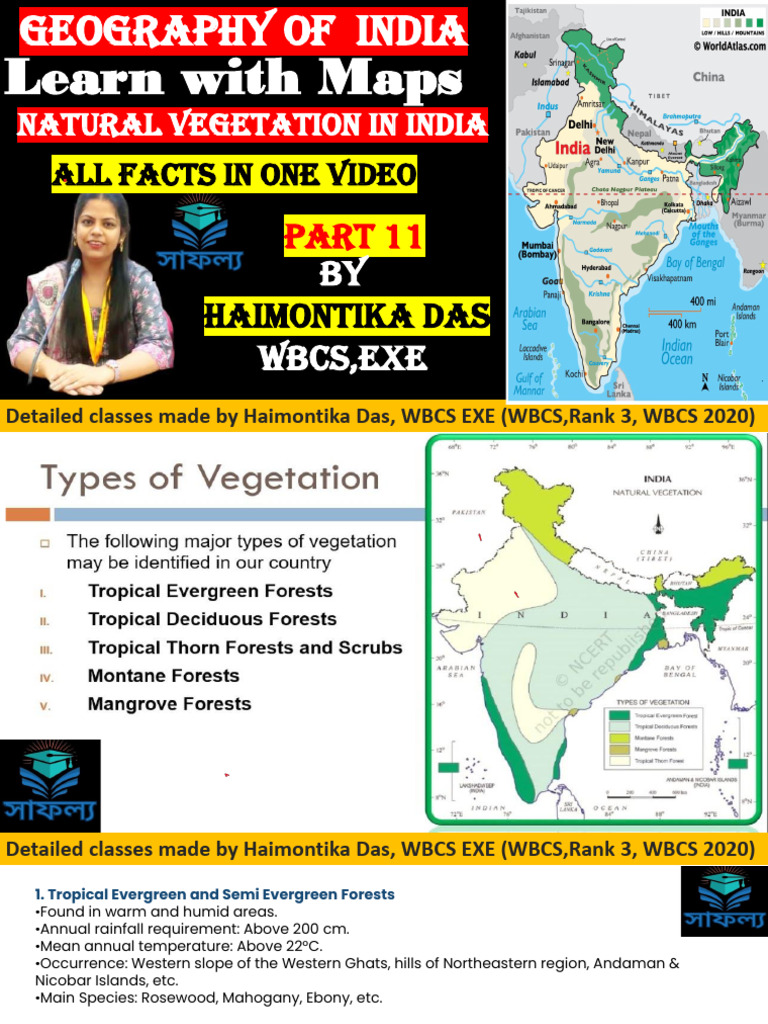 Geography of India's Natural Vegetation | PDF | Mangrove | Forests