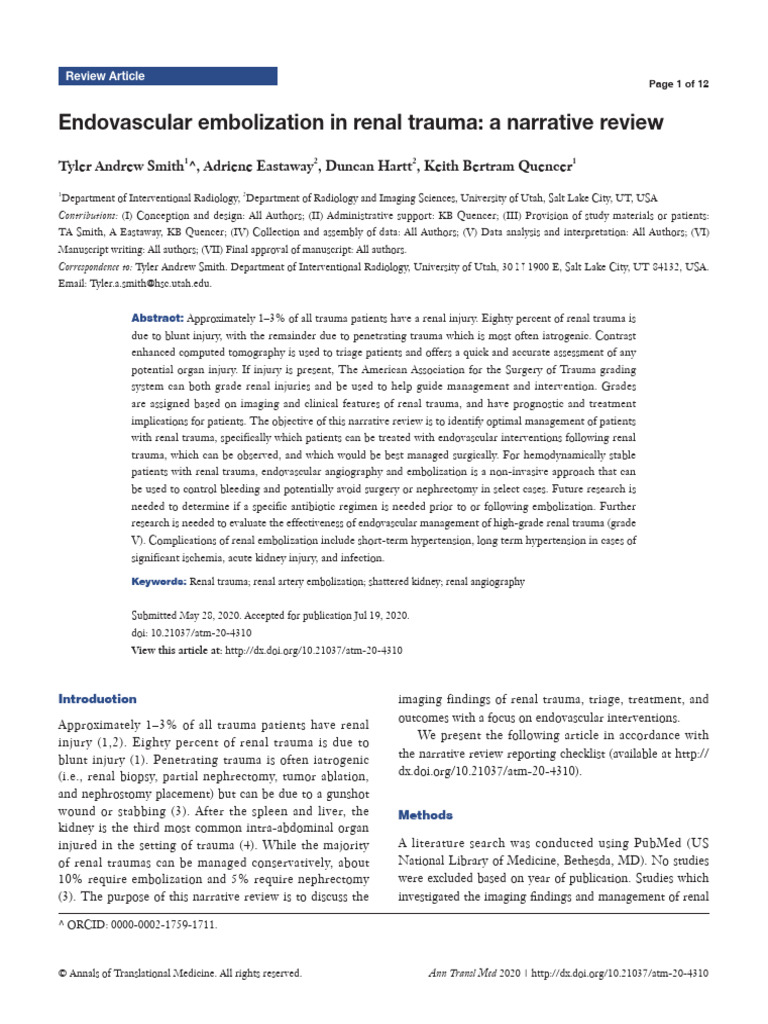Endovascular Embolization in Renal Trauma a Narrat | PDF ...