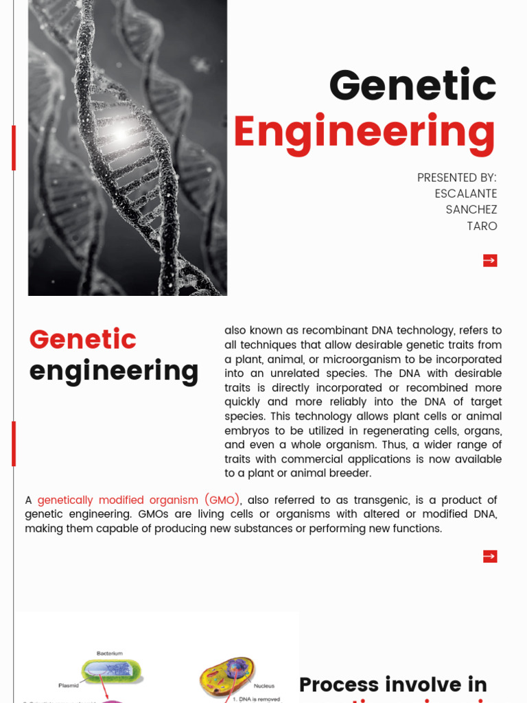 Overview of Genetic Engineering Applications | PDF | Genetically ...