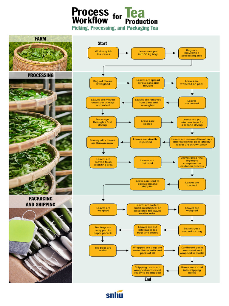 Tea Production Workflow Process | PDF | Tea | Hot Drinks
