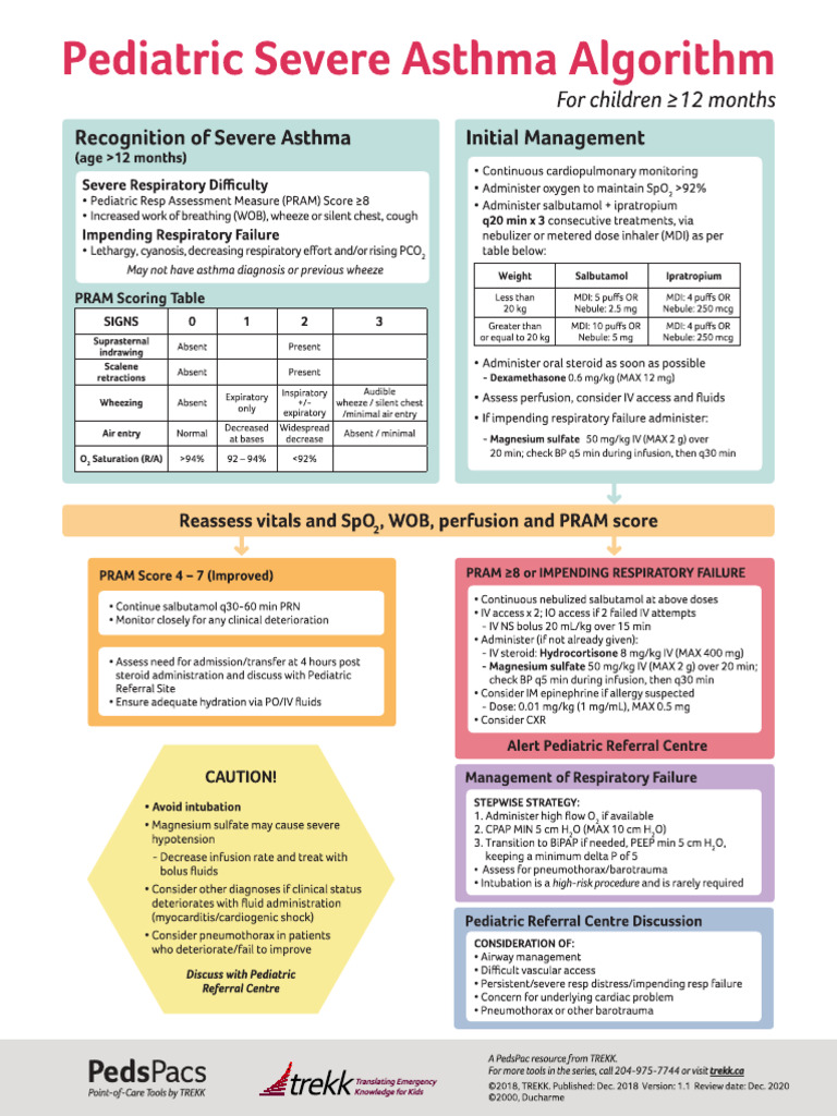 2019-04-16 Asthma Algorithm v1.1 | PDF