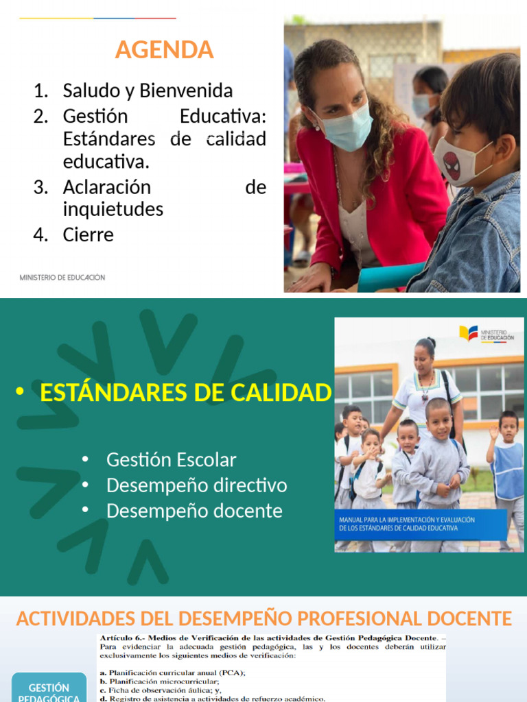 Estándares de Calidad Educativa en Gestión | PDF | Plan de estudios ...