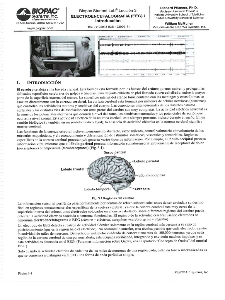 Biopac | PDF