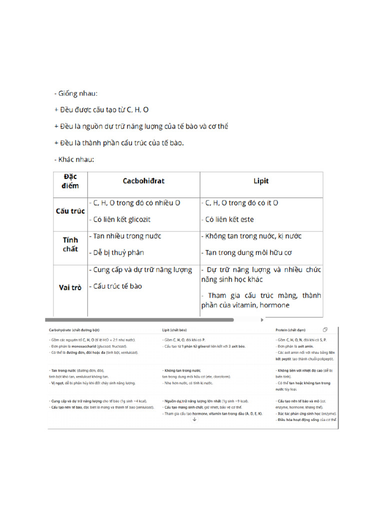 BT Sinh HC | PDF