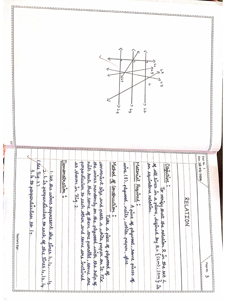 Class XII Maths Activity | PDF