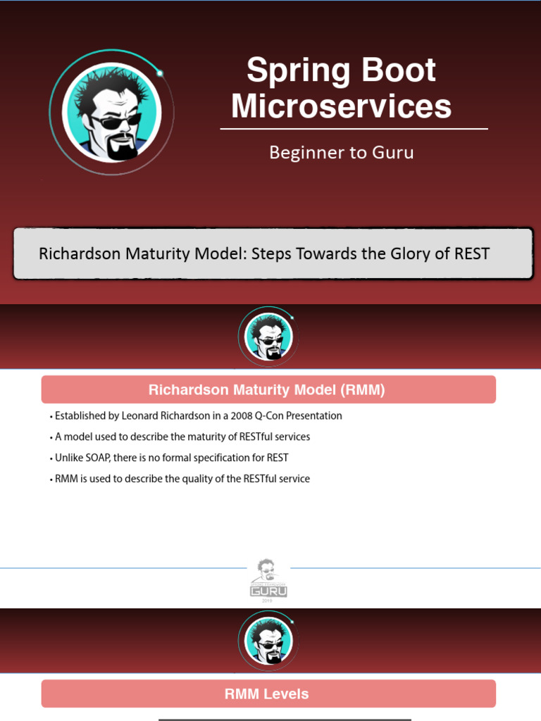 Richardson Maturity Model Explained | PDF