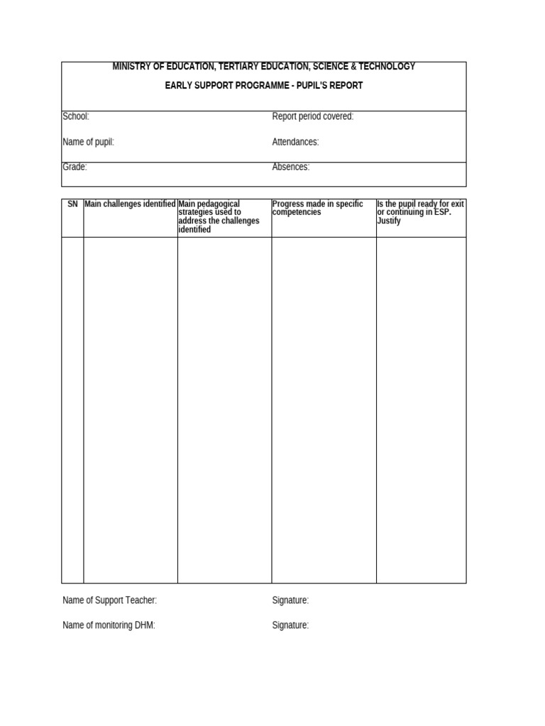 Early Support Programme Pupil Report | PDF