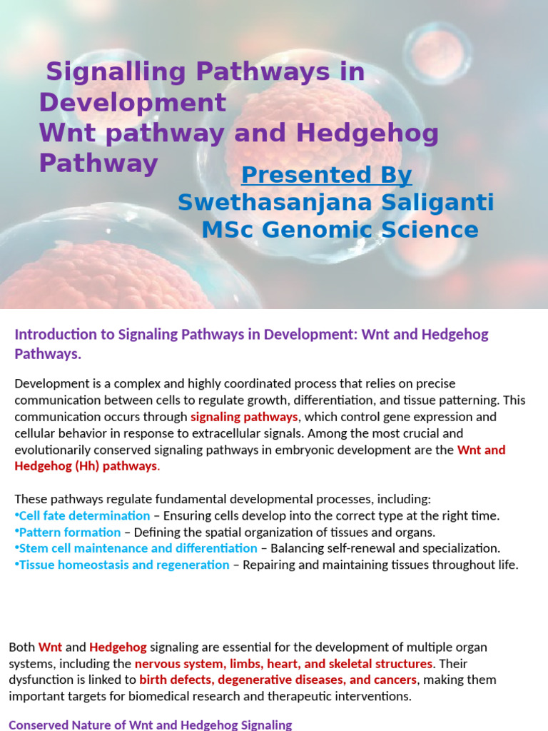 Wnt and Hedgehog Pathways in Development | PDF | Life Sciences | Cell ...