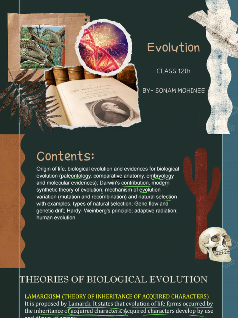 Evolution Lecture 3 | PDF