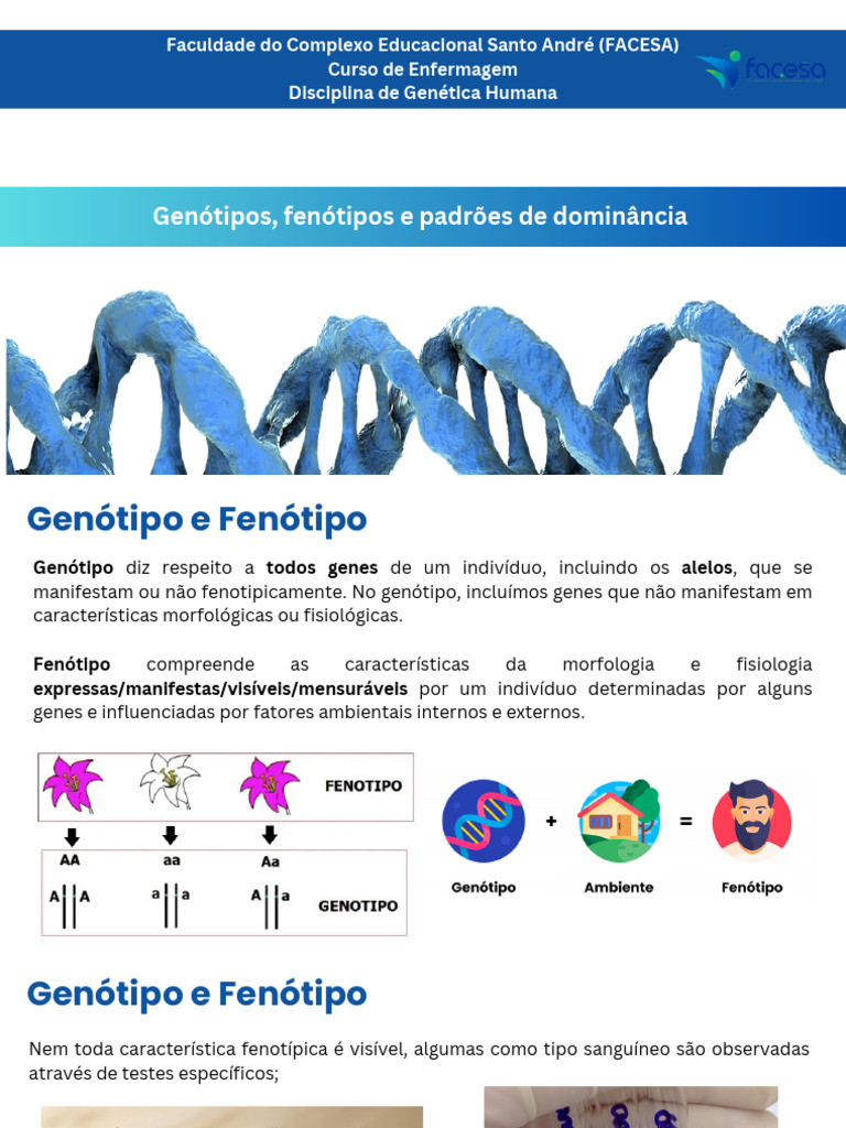 Genótipos e Fenótipos na Genética | PDF | Alelo | Dominância (genética)